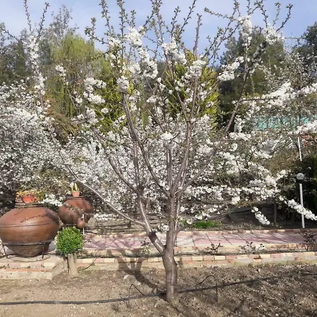 펜션 Fully Renovated Cozy House In Pano *